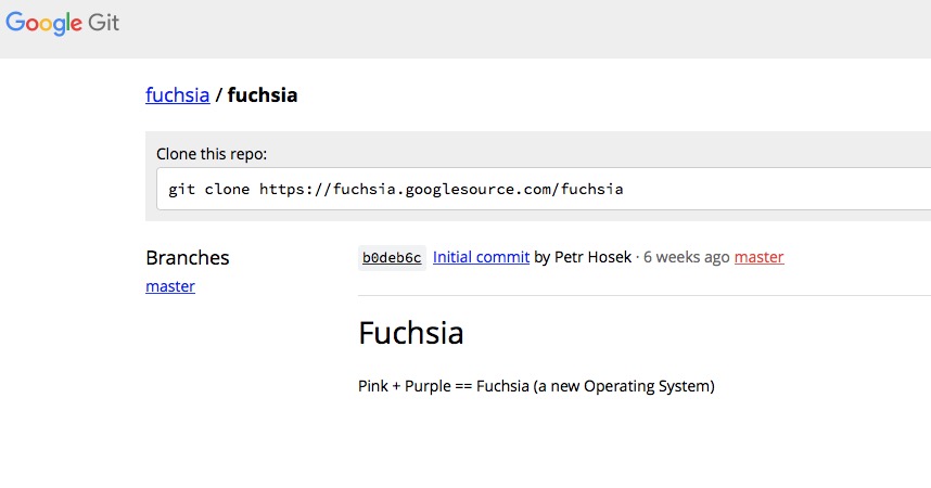Captura Google Fuchsia